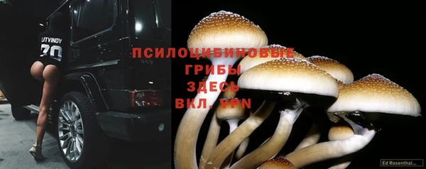 мяу мяу мука Зеленокумск