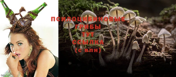 дурь Зерноград