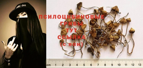 первитин Зеленодольск