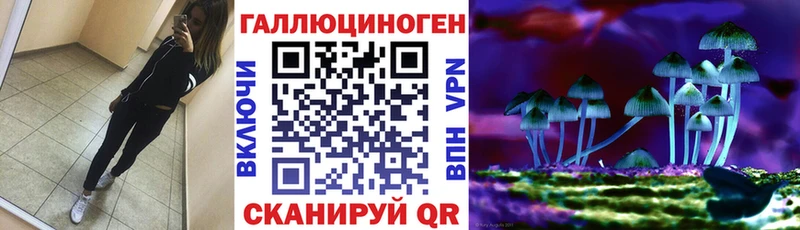 Купить где  Серпухов  Галлюциногенные грибы Psilocybine cubensis 